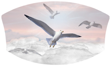 DNSWILL 101 PK Journey Home Clouds Birds Pink